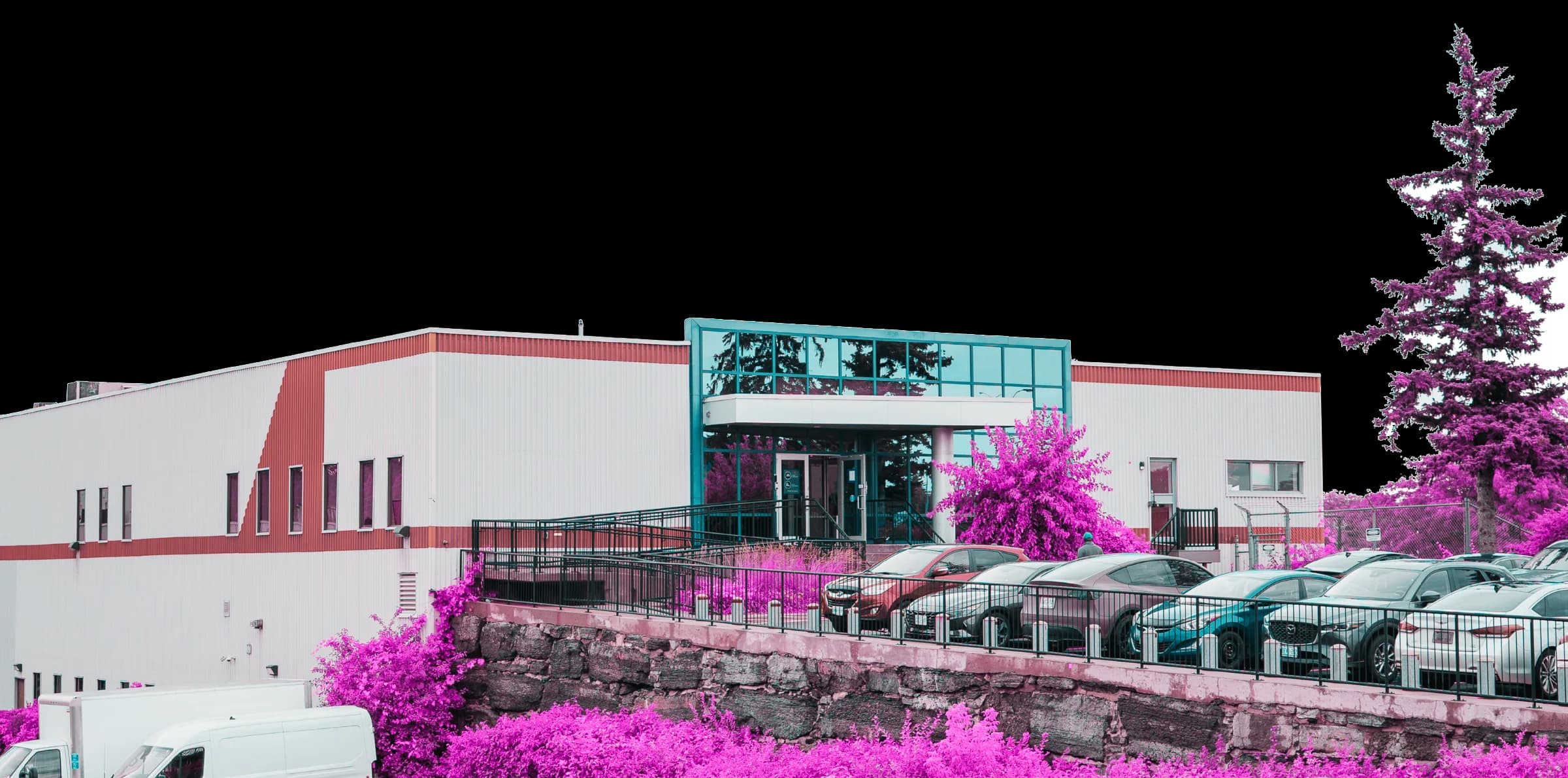 The Queensview building, its glass entrance above the parking lot, the trees around it in Lighthouse pink